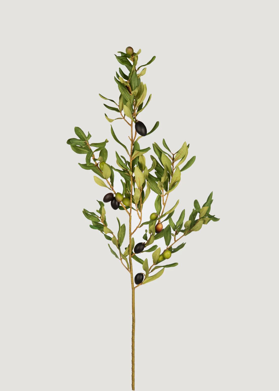 Tall Olive Tree Branch | Best Artificial Branches at Afloral.com | Afloral