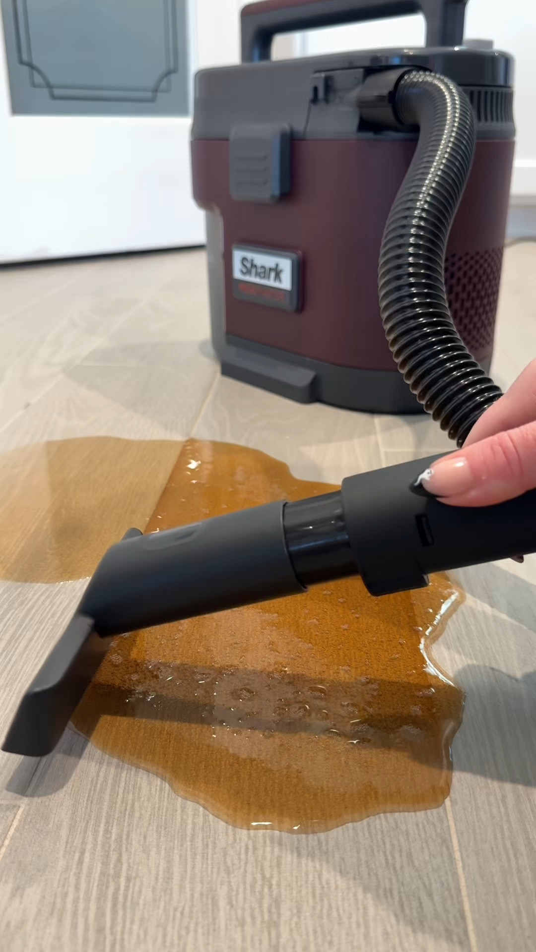 Y’all know I love a good cleaning gadget and this one just earned a permanent spot in my routine. The Shark MessMaster Portable Wet & Dry Vacuum from QVC handles it all from coffee spills to muddy paw prints to sink messes.

It’s lightweight, powerful, and designed not to lose suction (even with wet messes 👏). This is the kind of product that makes cleanup actually satisfying.

And right now it’s 52% off just $79.98 (regularly $169.99)! Linked it below along with a few other QVC cleaning must-haves that make life just a little easier.

🧼 #LoveQVC #ad @QVC @SharkClean


#LTKHome #LTKSaleAlert