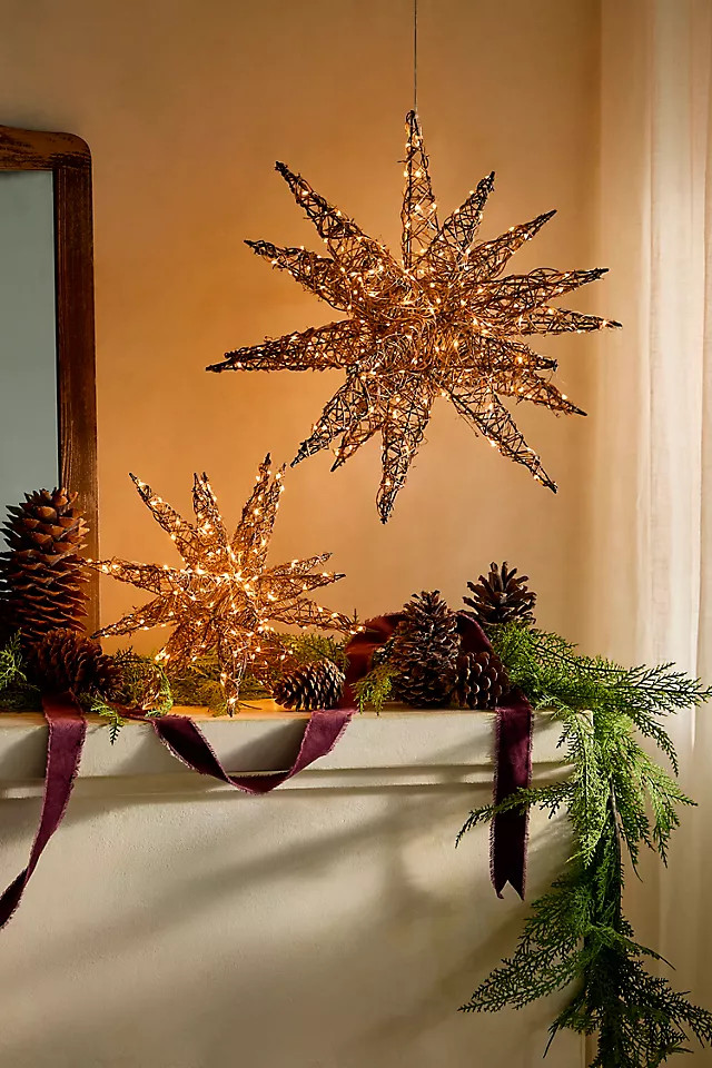 Illuminated Vine Moravian Star | Anthropologie (US)