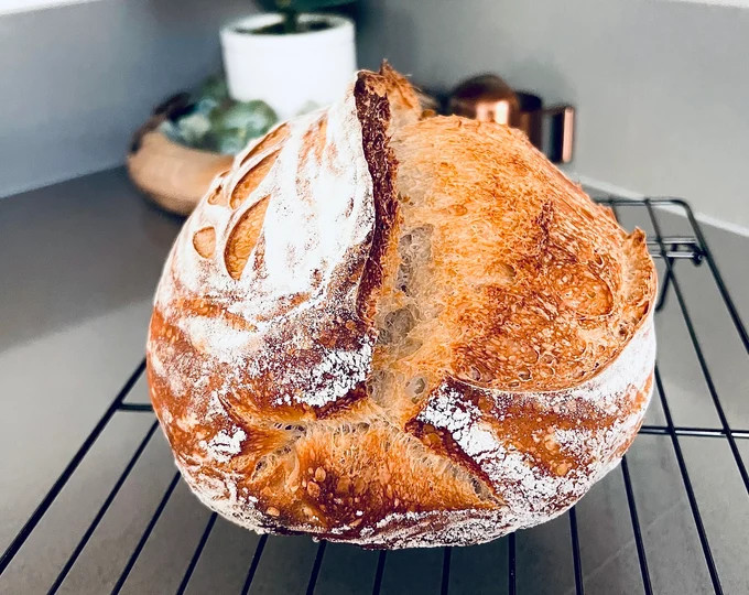 375 Year Old French Sourdough Starter- Acquired in Rosheim, France - Heirloom Sourdough’s Priva... | Etsy (US)