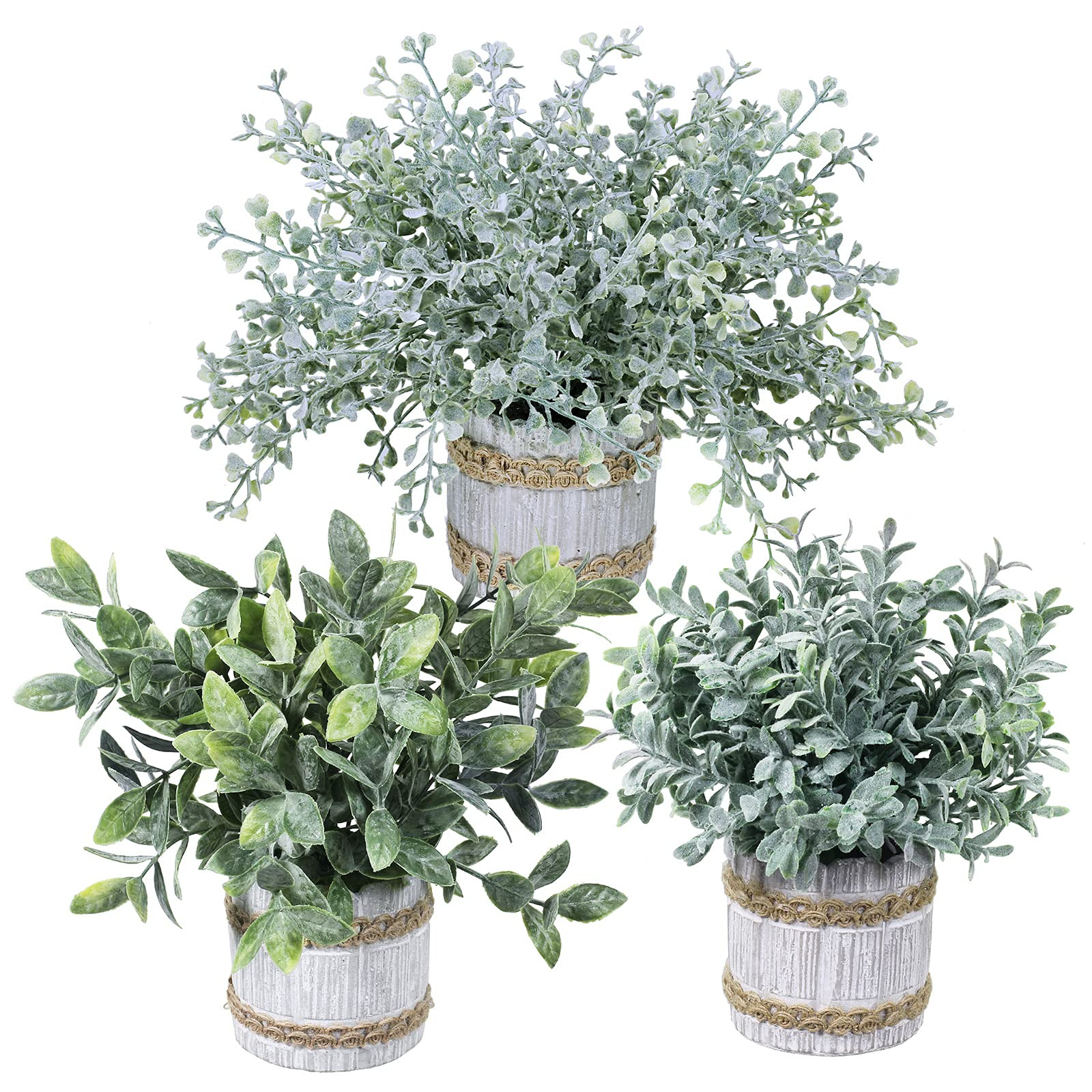 3-piece plant set | Amazon (US)