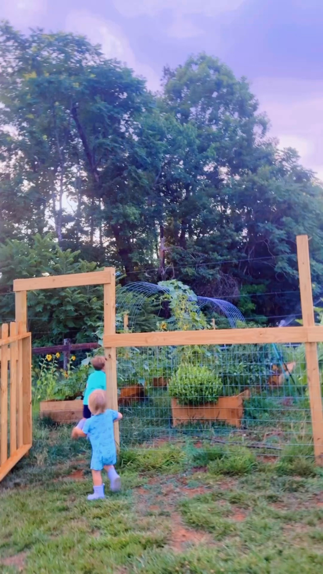 come spend a friday night with us harvesting out in the farm garden at sunset 🌅🪴🧺🌻🌾🌼☀️🫑🥒💛