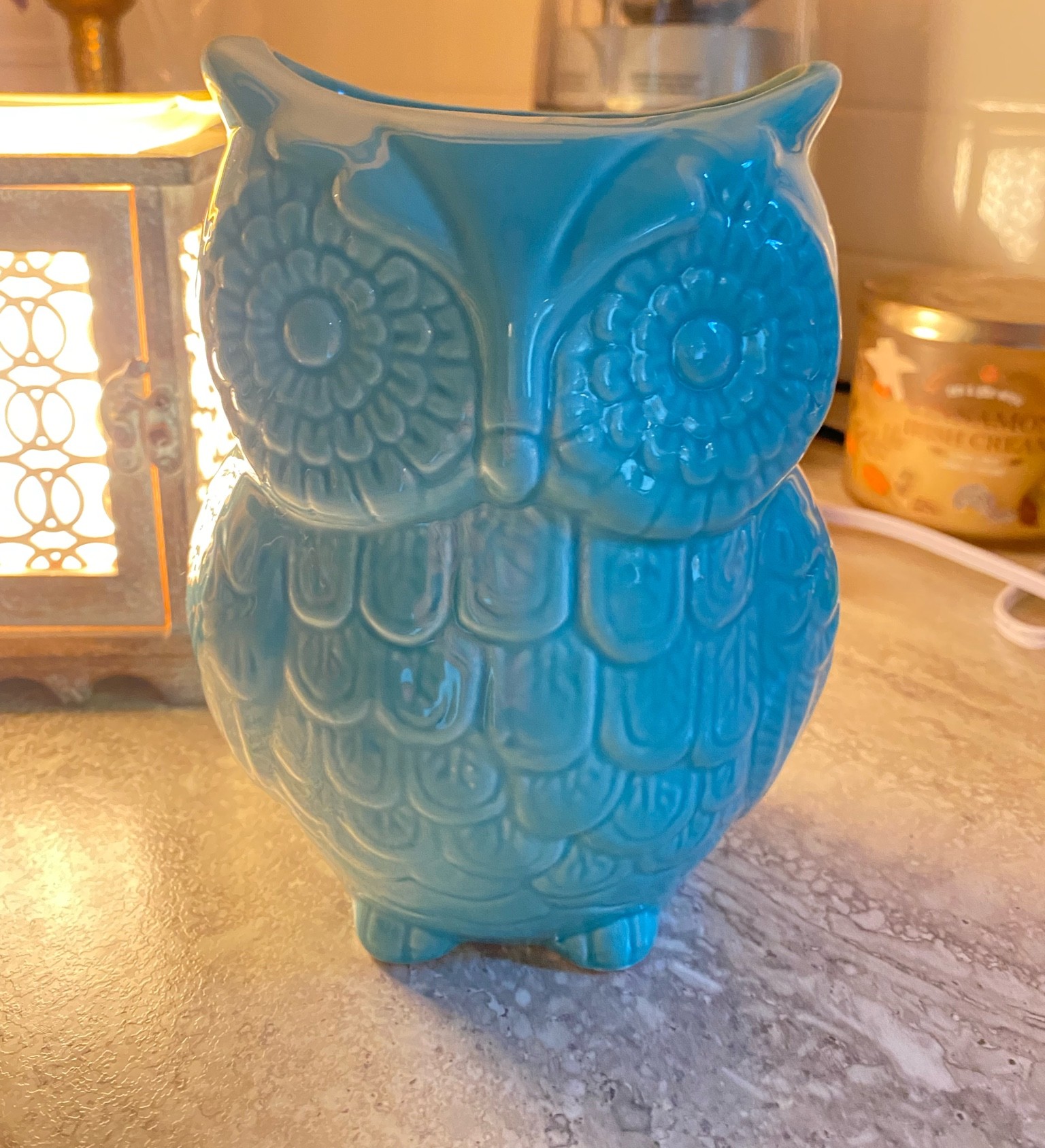 So happy at the new home. We are settling in and our stuff has arrived. Loving my kitchen decor. Owls are beautiful  

#LTKfamily #LTKhome #LTKunder100