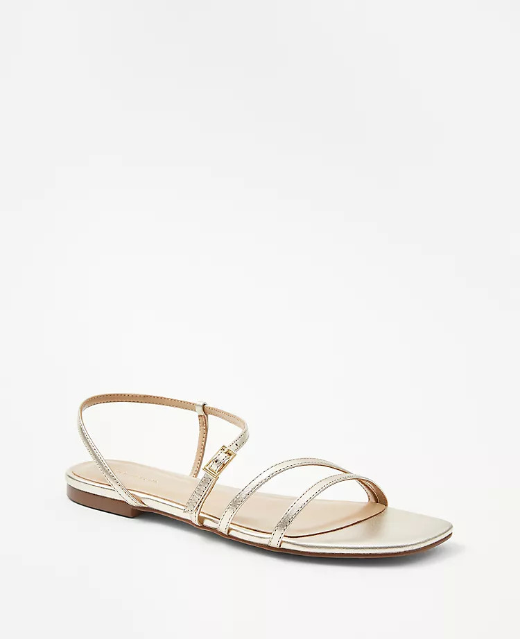 Leather Strappy Flat Sandals | Ann Taylor (US)