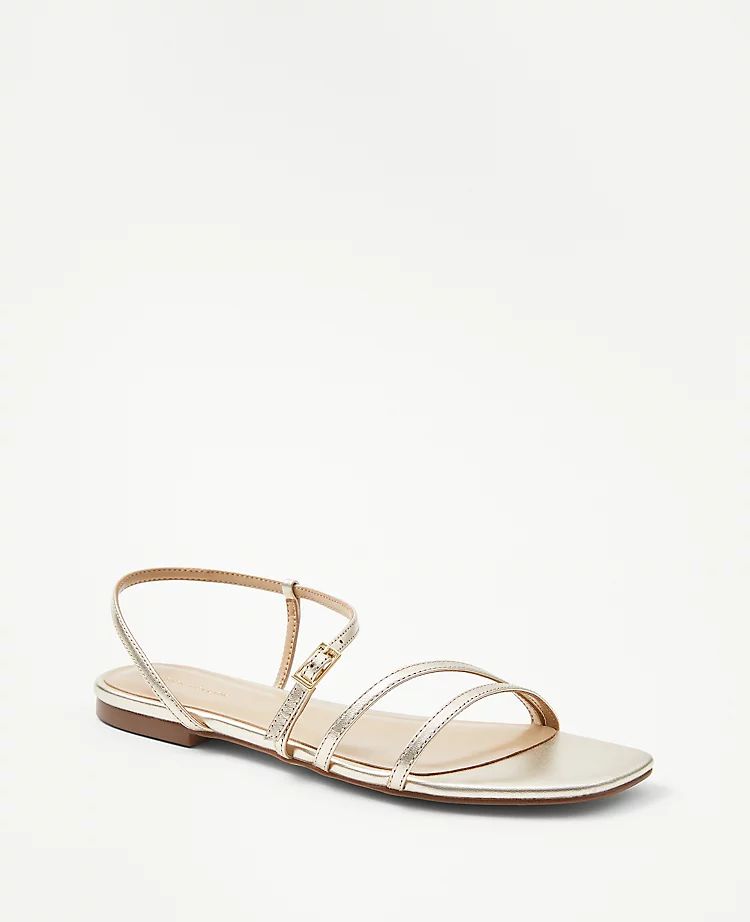 Leather Strappy Flat Sandals | Ann Taylor (US)