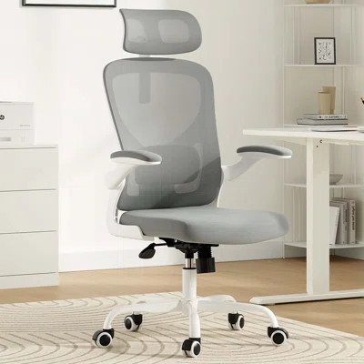 Ergonomic Office Chair, Home Office Desk Chair With Headrest | Wayfair North America