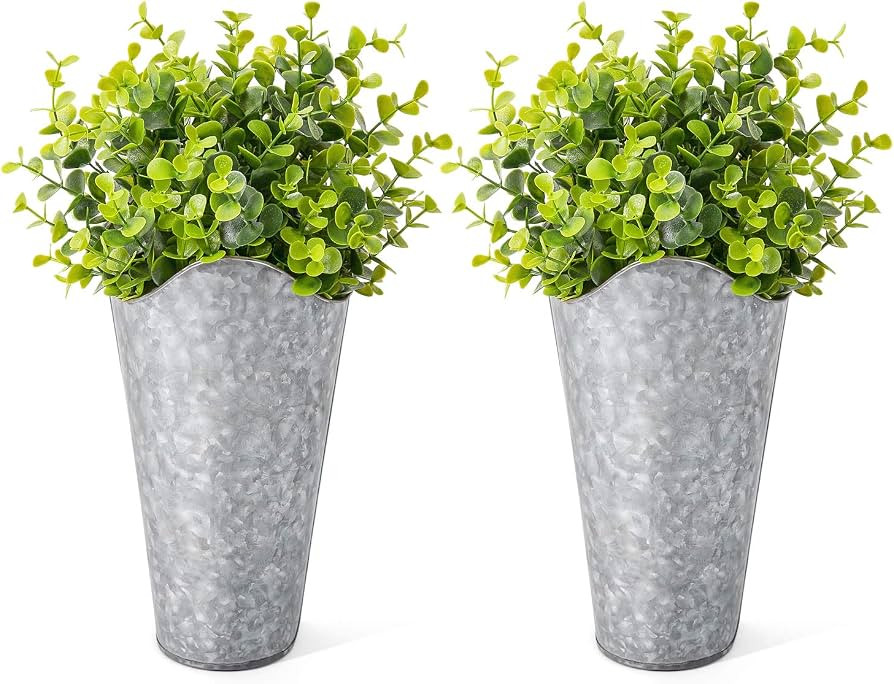 Dahey 2 Pack Galvanized Metal Wall Planter with Artificial Eucalyptus Farmhouse Decor Hanging Wal... | Amazon (US)
