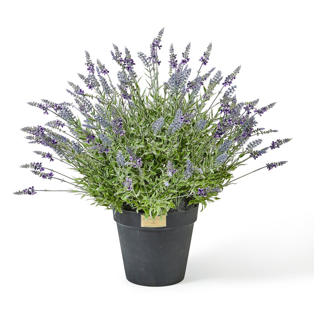 Lavender Urn Filler | MacKenzie-Childs