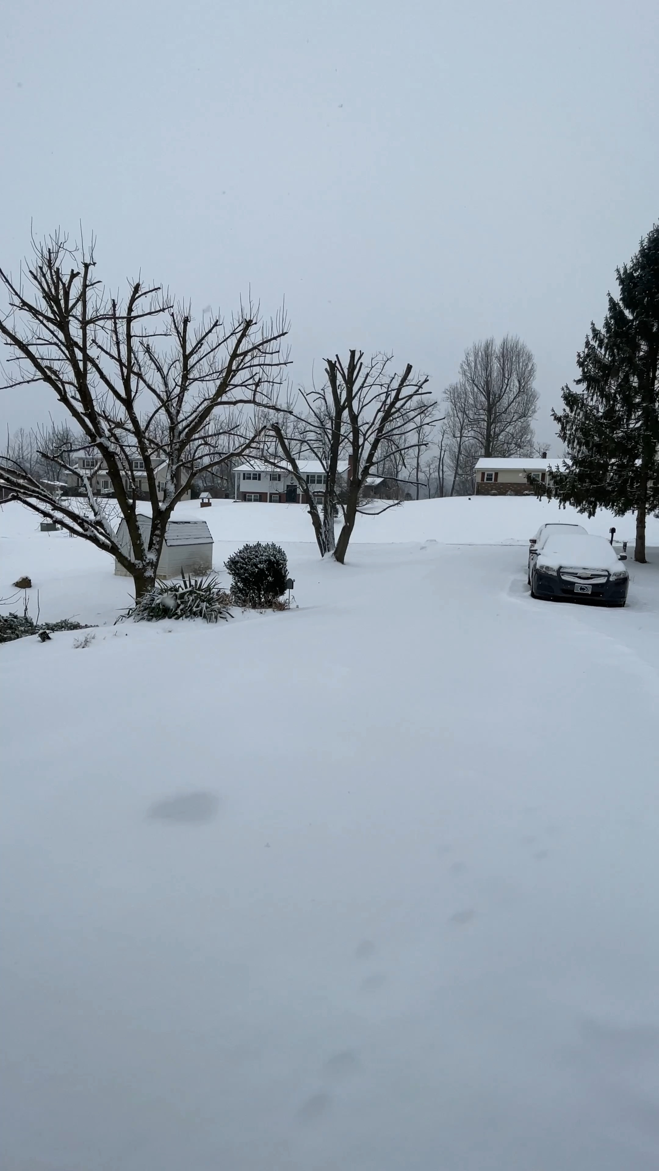 It’s winter time! You know what that means?! The dreaded cleaning off your driveway after a snow storm.

Their 40v 12 inch snow shovel kit was perfect for the job! Especially on my lunch break. This patch of the driveway only took 15 minutes out of my lunch to complete. Did I mention with no back pain from having to lift a shovel and throw the snow?! 

Did you see their 20v heated jacket? Yes I said HEATED! Perfect for playing with our snow toys in the cold. It does take 5 minutes to fully warm up to the highest mode so keep in mind when getting ready to play!

#LTKSeasonal #LTKhome