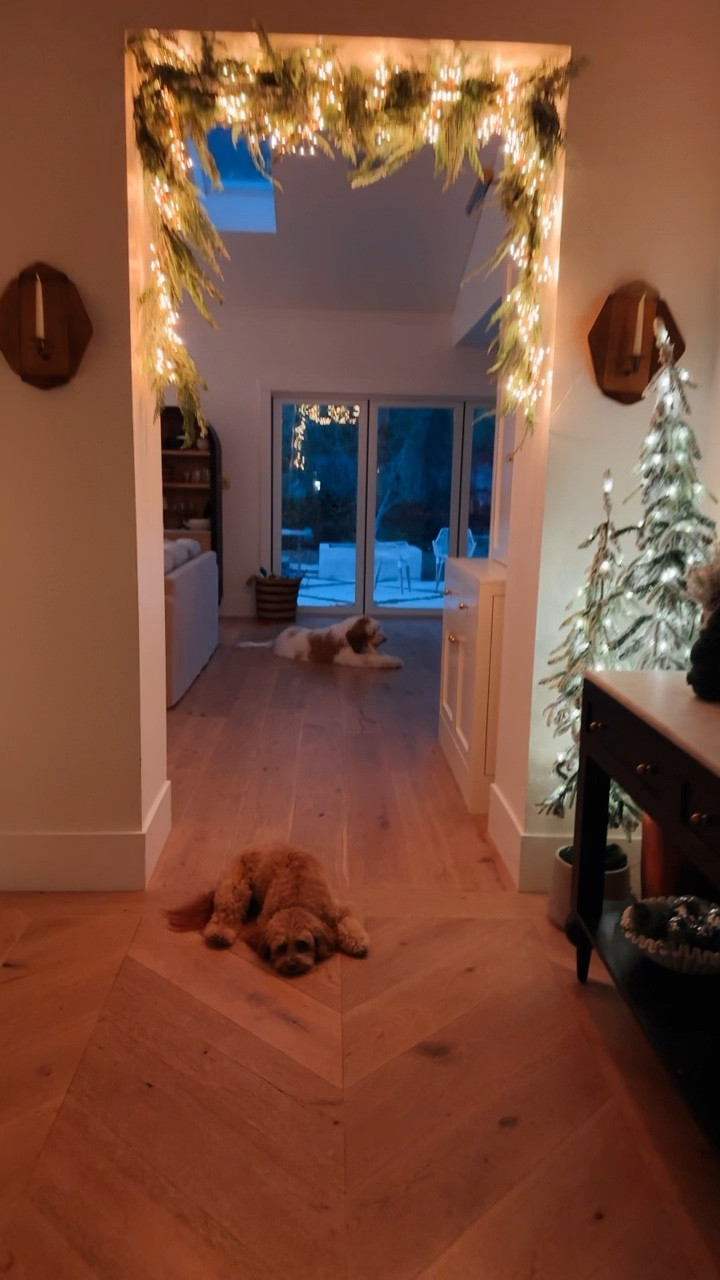 I tried the viral garland hanging hack and this is how it went!