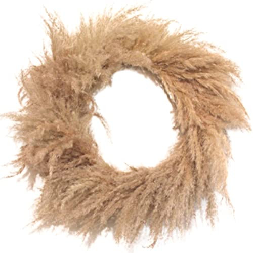 27 Inch Pampas Grass Wreath Front Door Wreath Boho Room Decor Wall Home Decor Farmhouse Rustic Decor | Amazon (US)