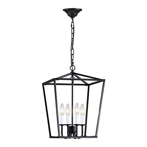 ANJIADENGSHI Lantern Pendant Light Industrial Vintage Lantern Iron Cage Hanging with 4 E12 Bulbs Lan | Amazon (US)