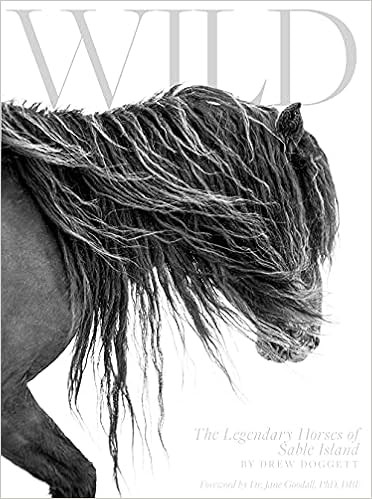 Wild: The Legendary Horses of Sable Island     Hardcover – July 12, 2021 | Amazon (US)