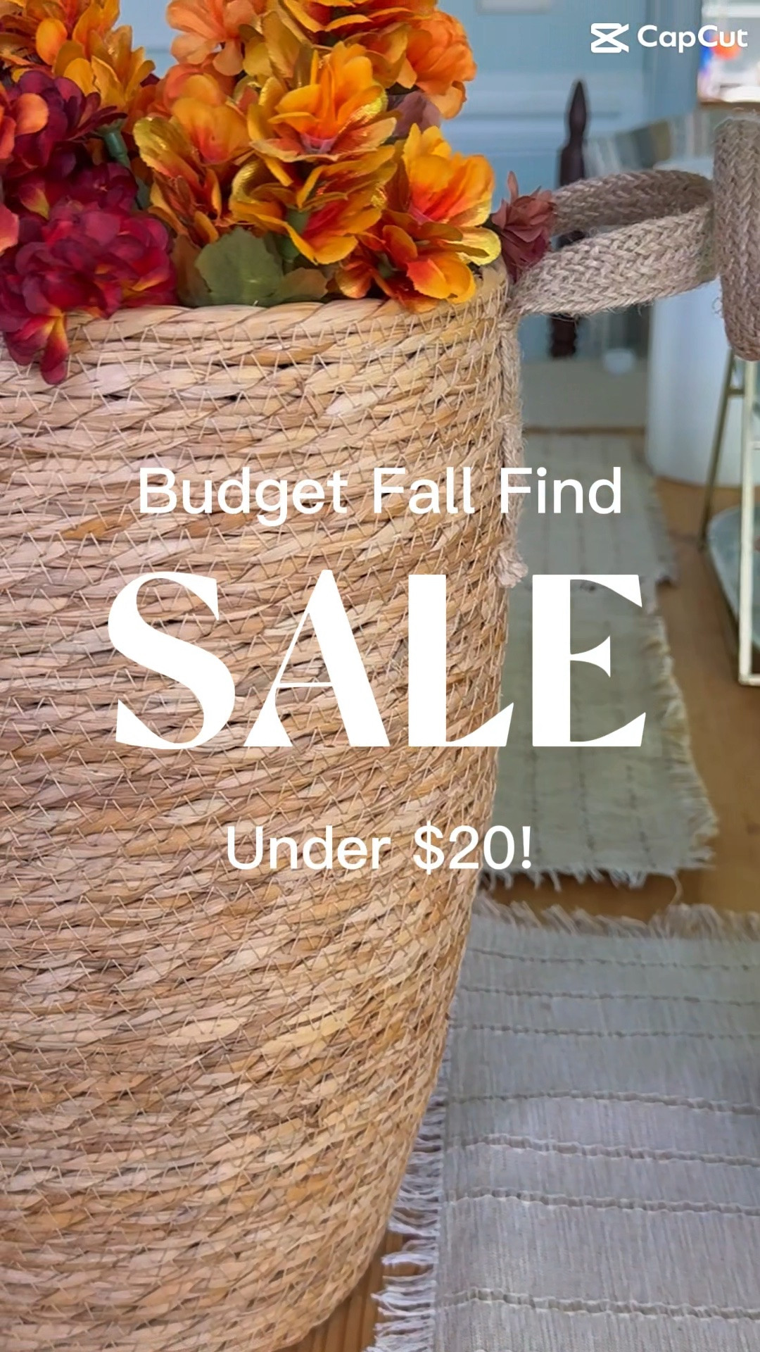 Budget fall find under $20! Hobby Lobby Basket-$8.99 Dollar Tree Mum Bundles-$1.25 =$16.50! #ltkbudget

#LTKSeasonal #LTKHome