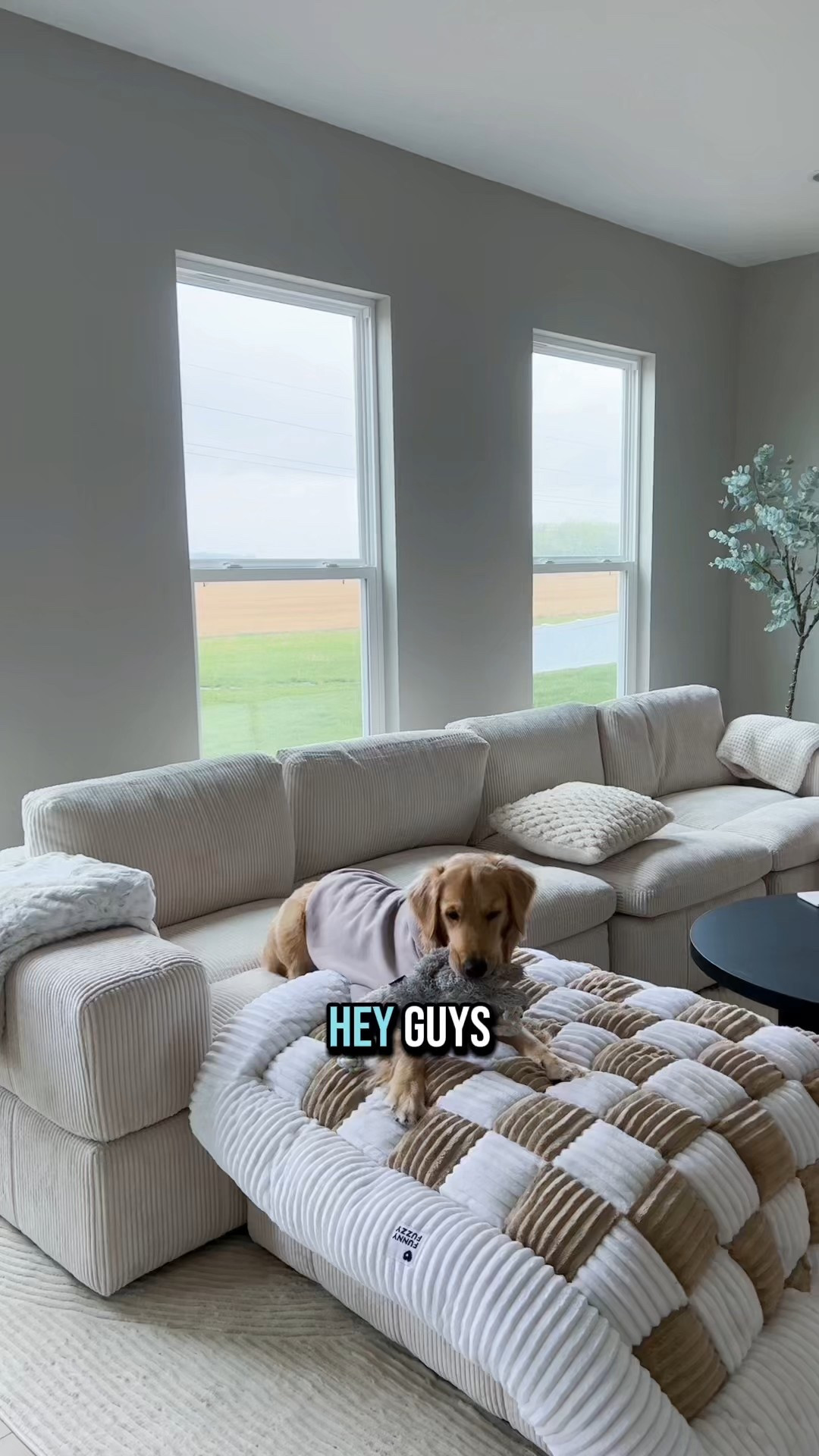 Comfrt flash sale!!!