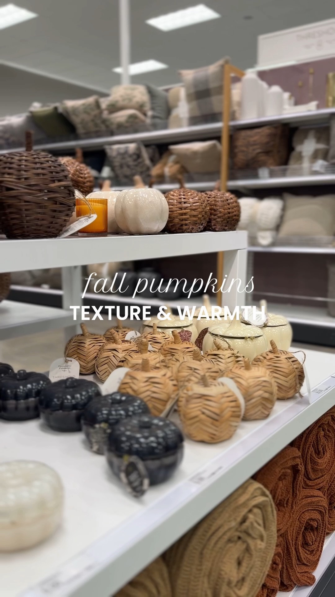 Fall pumpkins for everyone!

Textural pumpkins
Pumpkin candles
Woven pumpkins
Decorative pumpkins

#LTKSeasonal #LTKHome