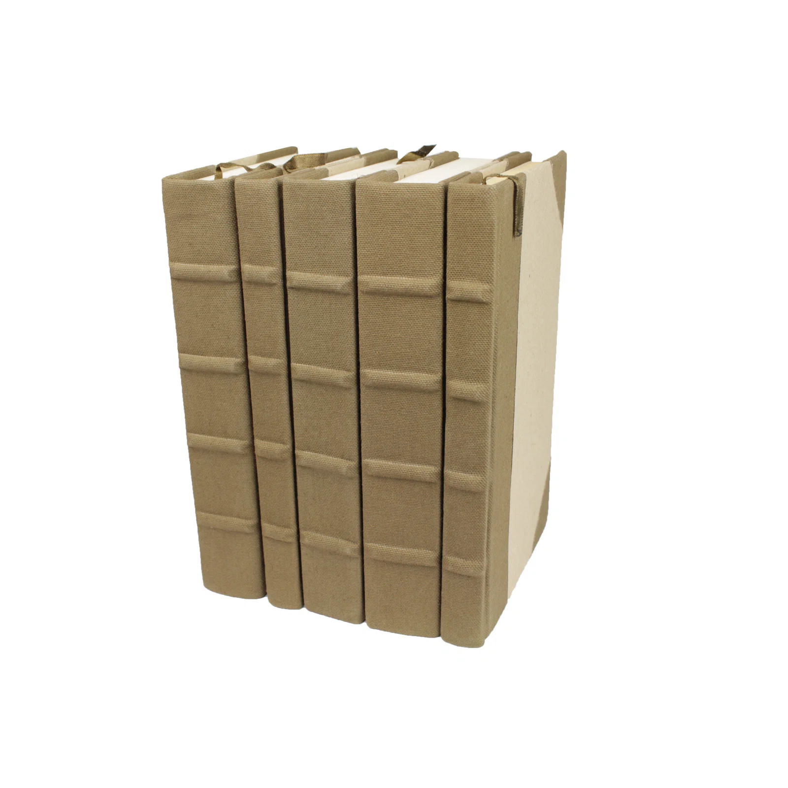 5 Piece Canvas Decorative Book Set | Perigold