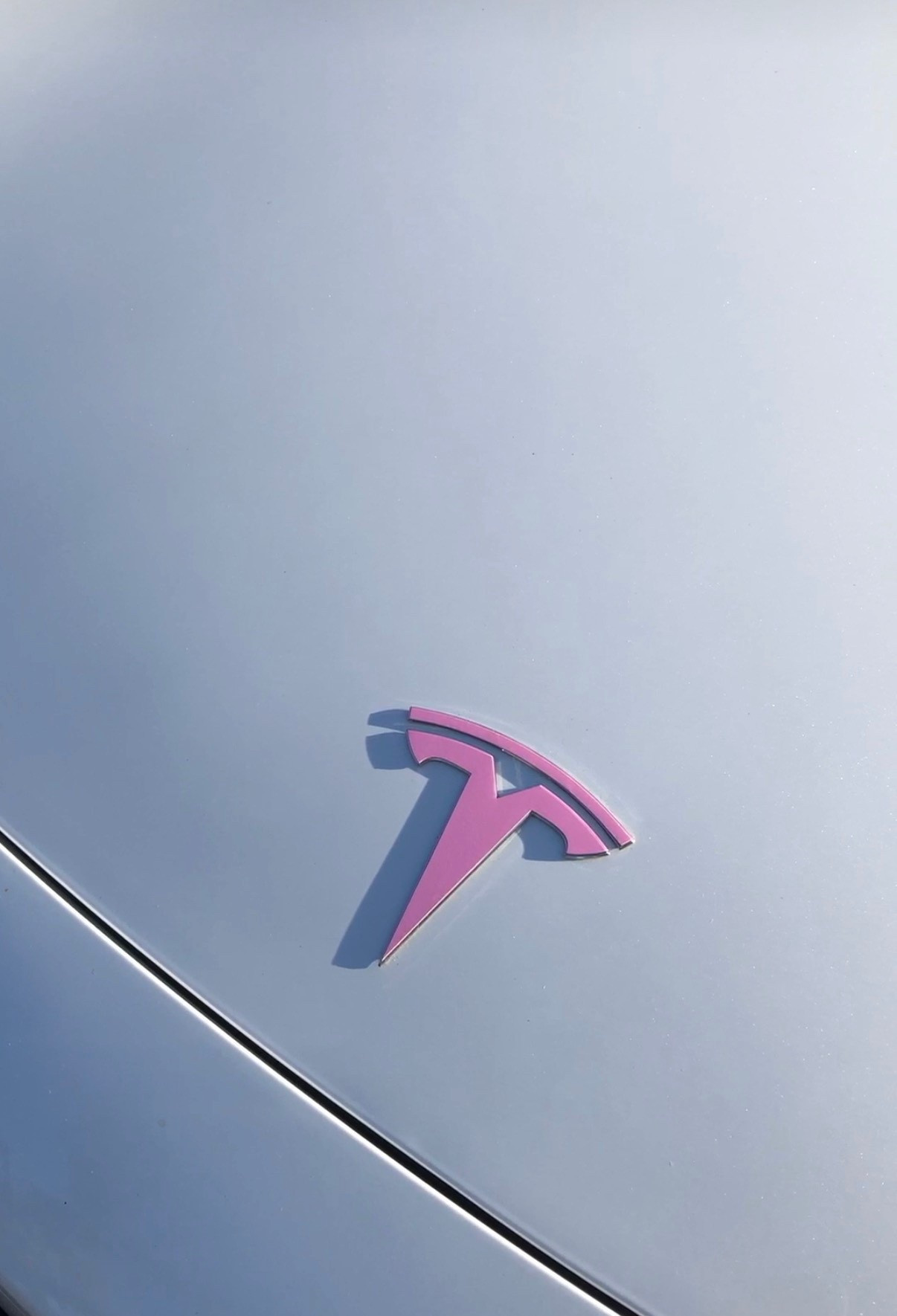 Pink Tesla emblem 

#LTKU #LTKTravel #LTKdayinmylife