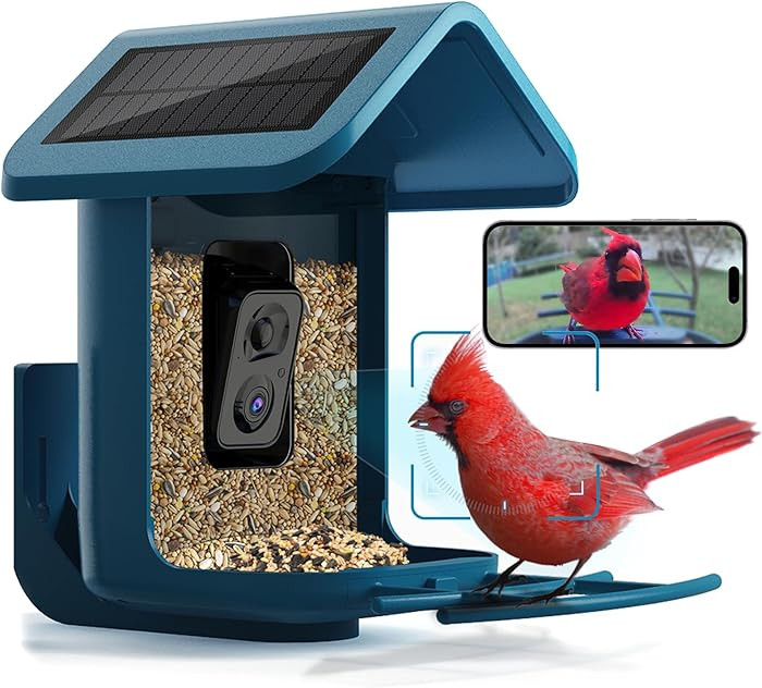 Bird Feeder with Camera Solar Powered : Smart Camera Bird Feeder 2K Live Feed Cam for Outdoor Bac... | Amazon (US)