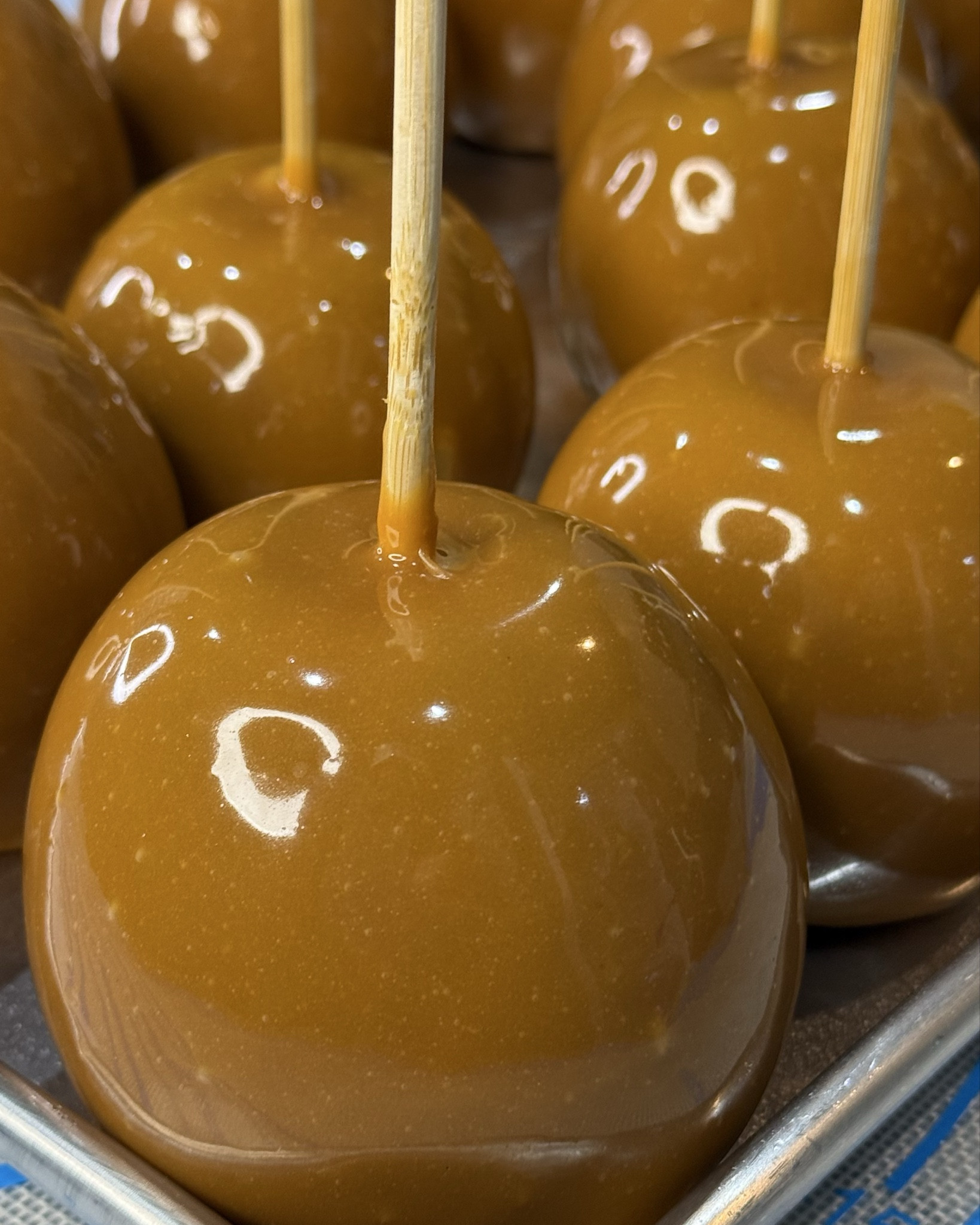Gourmet Caramel Apples 🍏 are a must for the holiday season.  They are rich in flavor and paired with a Granny Smith apple they will sure to water your taste buds for more!  

#caramel #apples #gourmet #holiday #dessert #treats #savory #delicious #flavorful #caramelapples #buttery #vanilla #fall #winter

#LTKParties #LTKHoliday #LTKfoodie