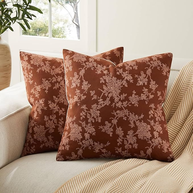 100% Cotton French Pastoral Throw Pillow Covers Set of 2, 24x24 Inch Background/Terracota Farmhou... | Amazon (US)