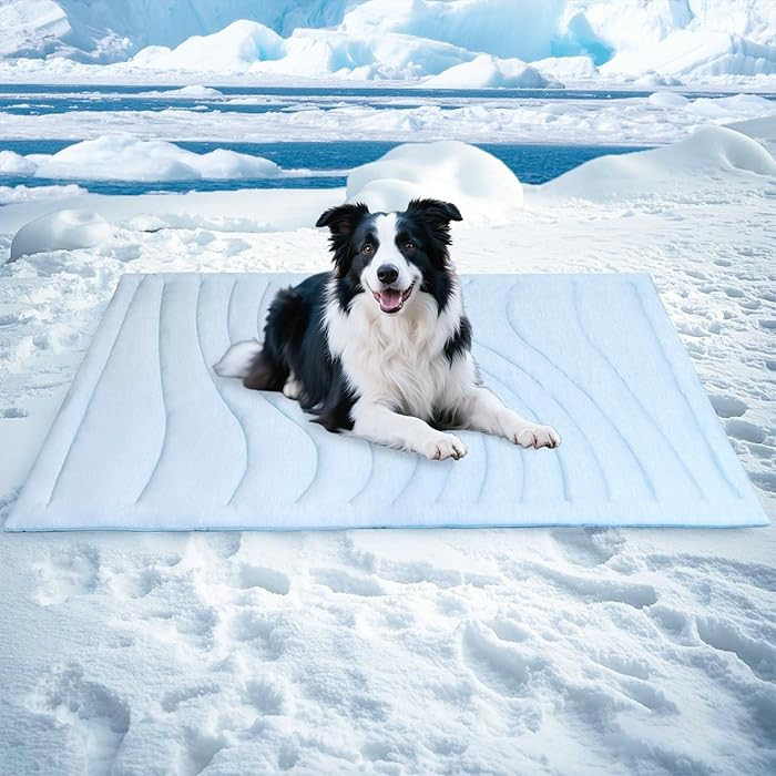 Dog Cooling Mat, Q-MAX＞0.45 Thickened Breathable Cold Pad for Summer Active Dog, 48"x28" Portab... | Amazon (US)