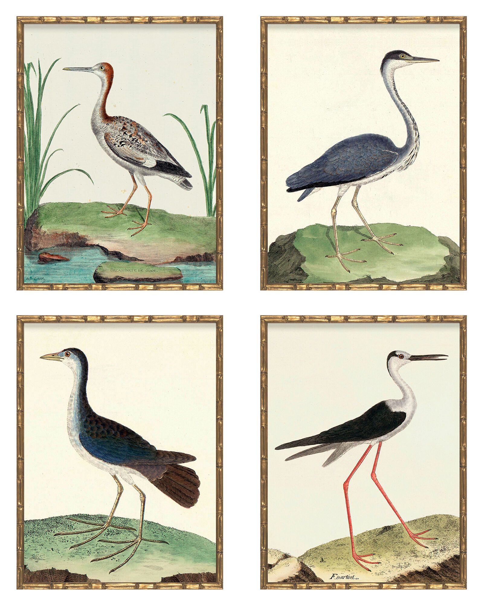 "Vintage Birds" in Bamboo Frame - Set of Four I (Birds I, III, IV, V)  by Whalebone Creek Prints | Serena and Lily