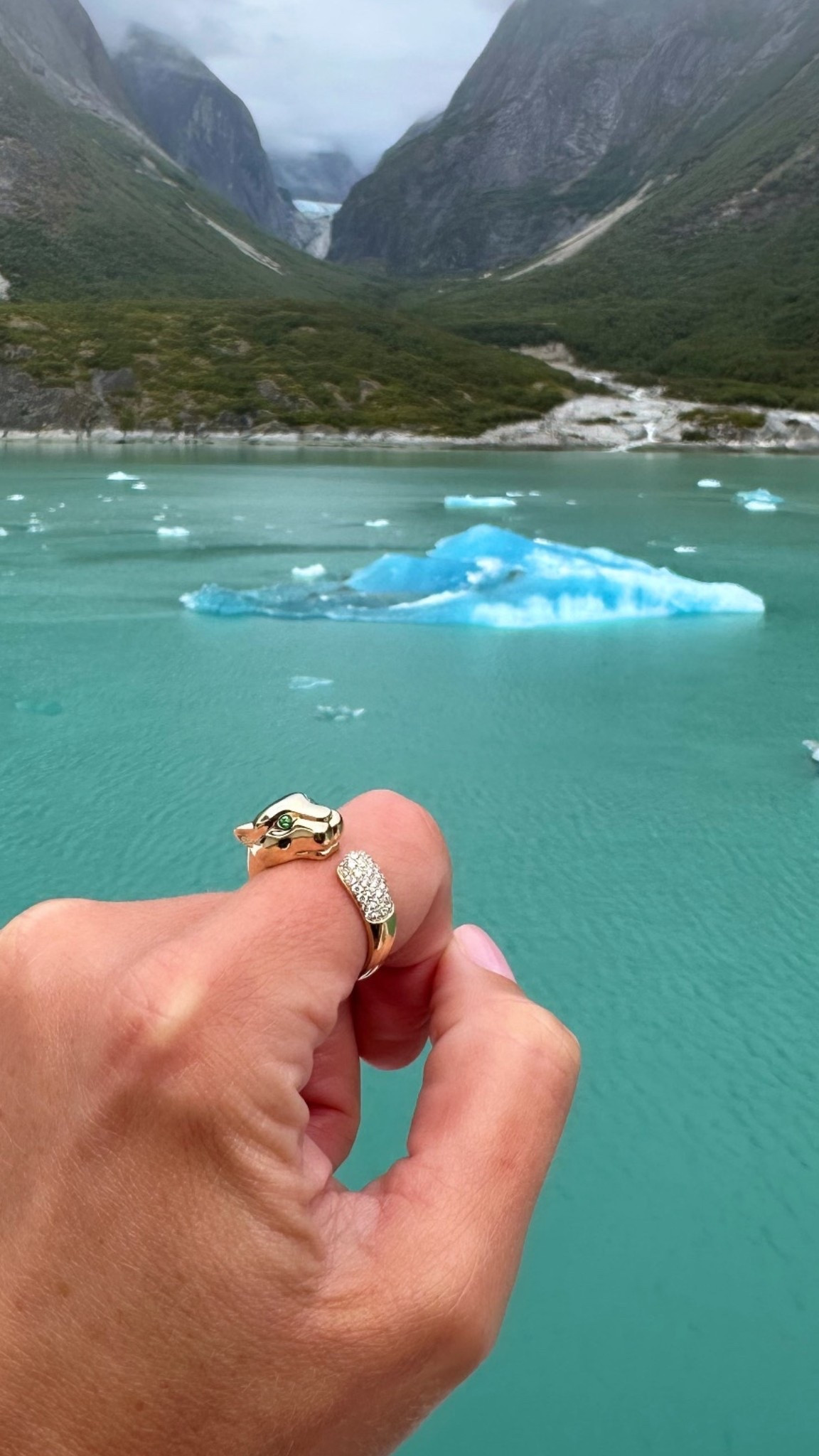 Yellow gold and diamond panther ring

Fine jewelry
Alaska cruise


#LTKTravel #LTKStyleTip #LTKSaleAlert