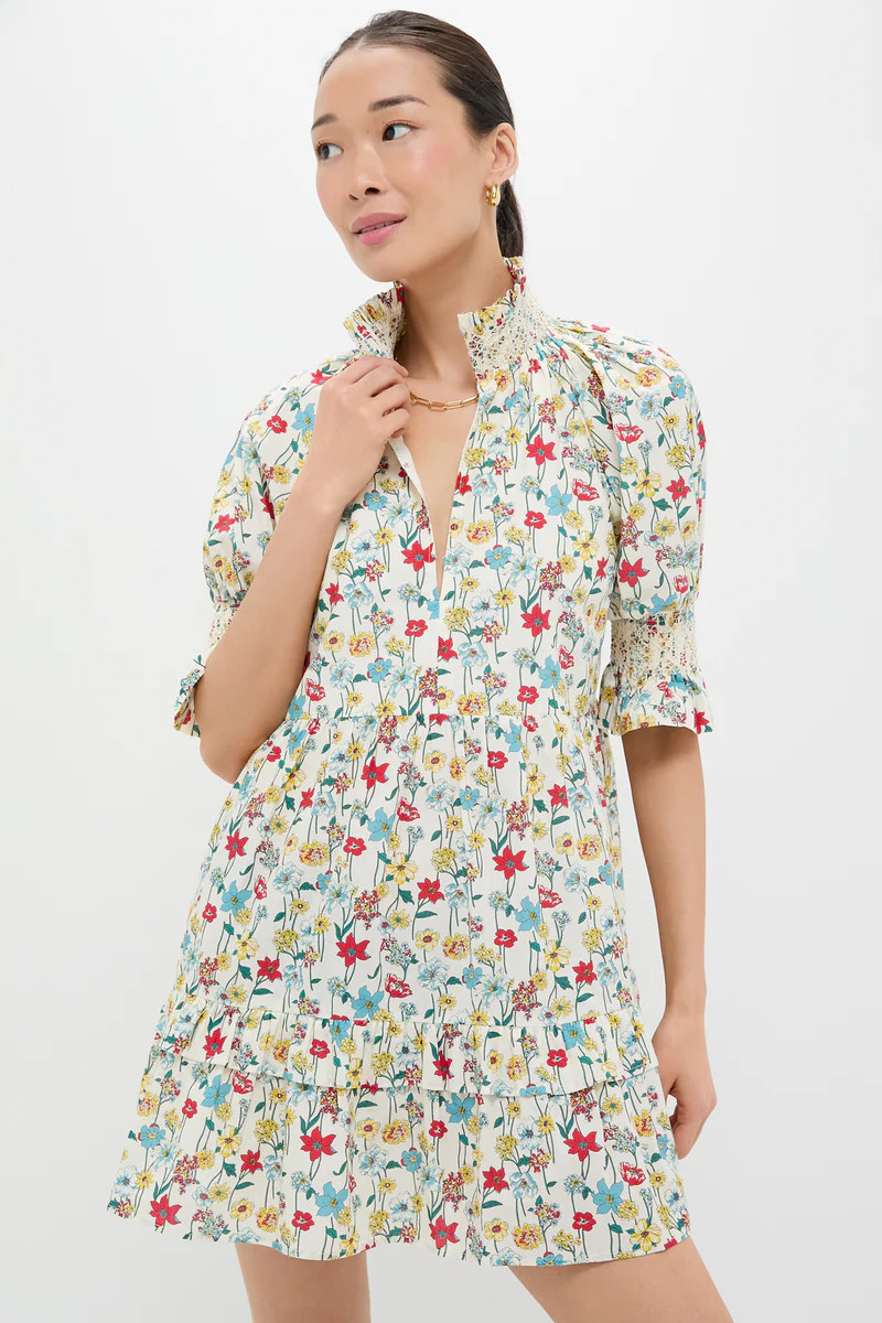 Red & Blue Multi Floral Sawyer Mini Dress | Tuckernuck (US)
