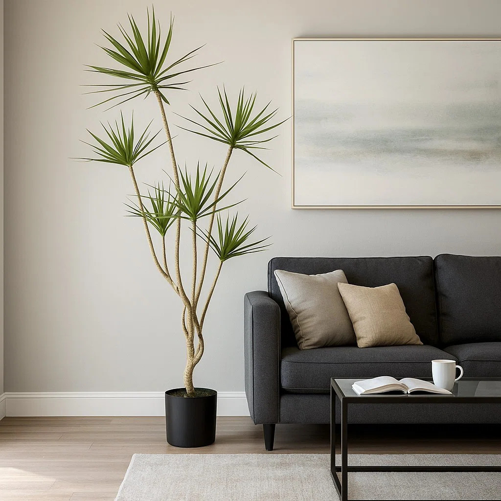Dracaena Drop-in Plant | Wayfair North America