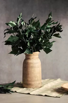 Preserved Hedera Bunch | Terrain