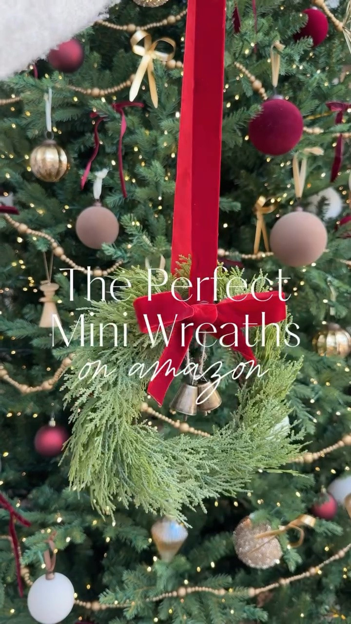 The perfect mini Christmas wreaths are BACK! 🎄❤️

These sold out FAST last year, and I can see why! They’re 12”, come in a 2-pack for around $24 + the red velvet ribbon makes them perfect for adding a little holiday cheer to windows, cabinets, doors + more. ✨

#LTKSeasonal #LTKHome