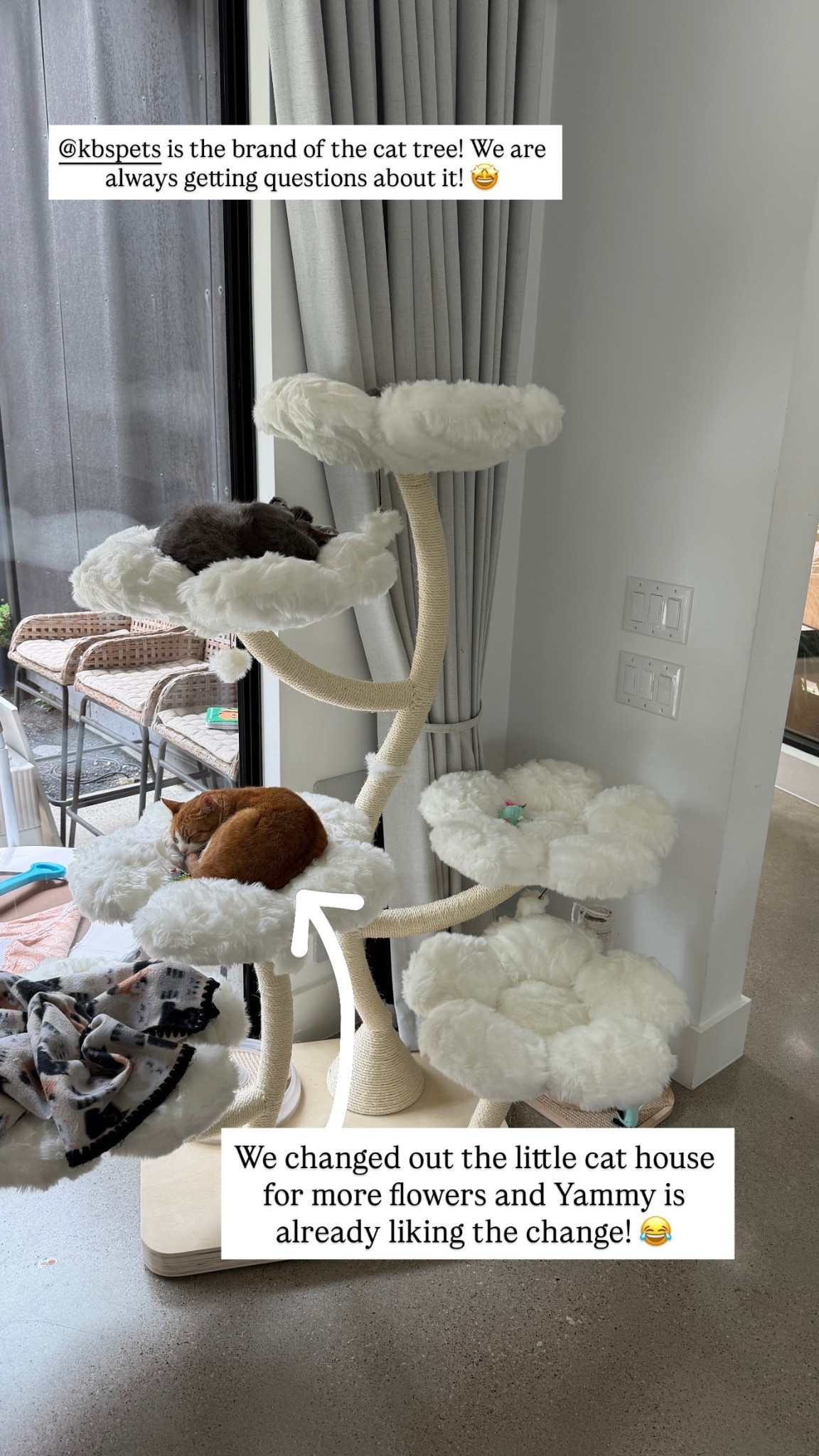 We changed out the little cat house for more flowers and Yammy is already liking the change! 😂 @kbspets is the brand of the cat tree! We are always getting questions about it! 🤩

Sharing similar cat trees here! ☁️🐾

#LTKHome #LTKdayinmylife
