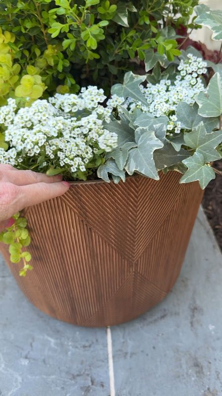 These Walmart planters are gorgeous and so affordable too! 

#LTKfindsunder50 #LTKhome