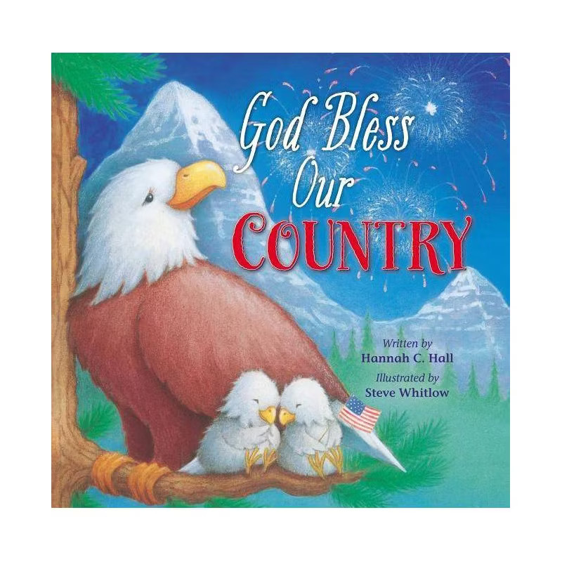 God Bless Our Country - (God Bless Book) by  Hannah Hall (Board Book) | Target