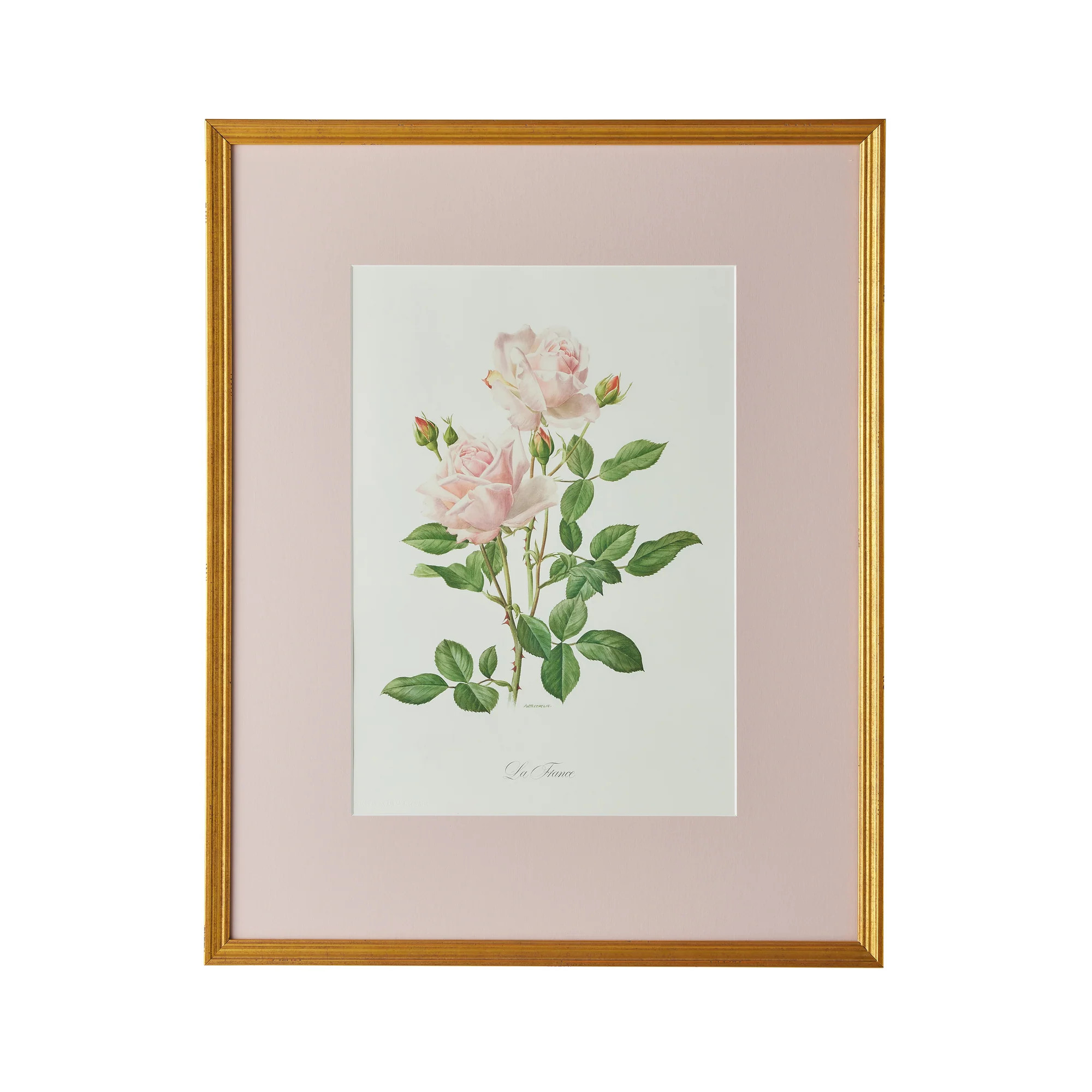 La France Artwork | Caitlin Wilson Design