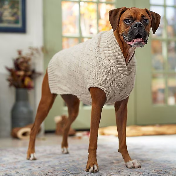 Frisco Sherpa Lined Chunky Cable Knit Dog & Cat Sweater, X-Large | Chewy