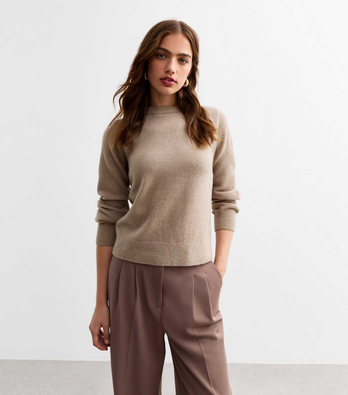 Mink Soft Knit Crew Neck Jumper 
						
						Add to Saved Items
						Remove from Saved Items | New Look (UK)