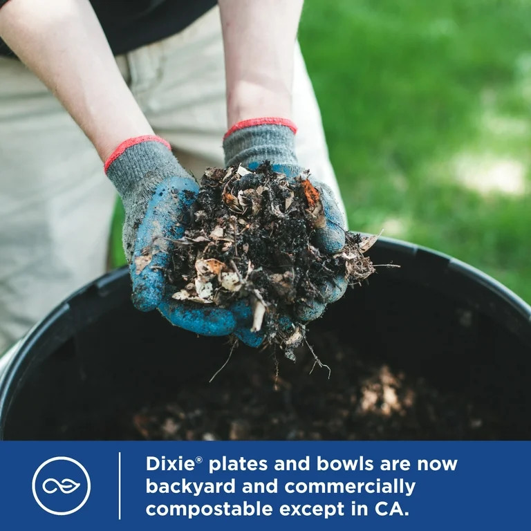 Dixie Disposable Paper Plates, 10", Multi-Color, 50 Count | Walmart (US)