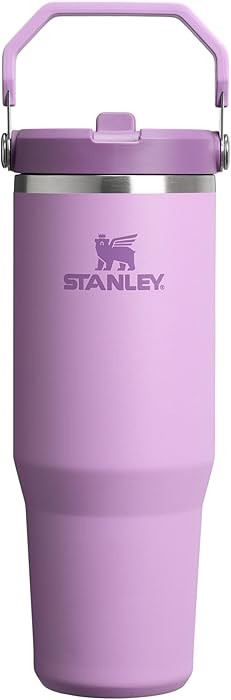 Stanley IceFlow 2.0 Flip Straw Tumbler with Handle 30 oz | Twist On Lid and Flip Up Straw | Leak ... | Amazon (US)