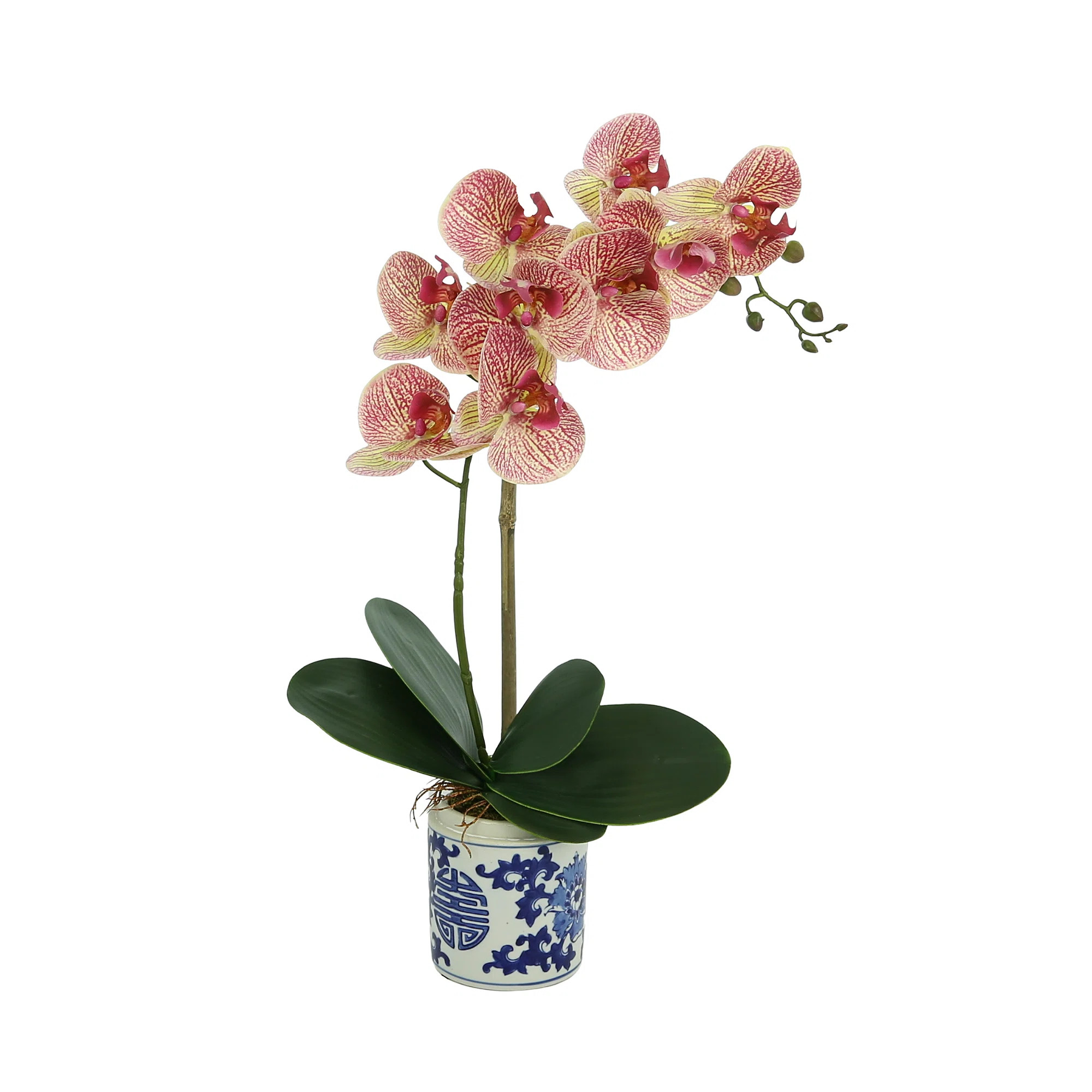 Orchid Arrangement In An Ornate Ceramic Vase | Perigold