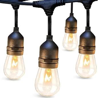 addlon 48 FT Outdoor String Lights Commercial Grade Weatherproof Strand, 18 Edison Vintage Bulbs,... | Amazon (US)