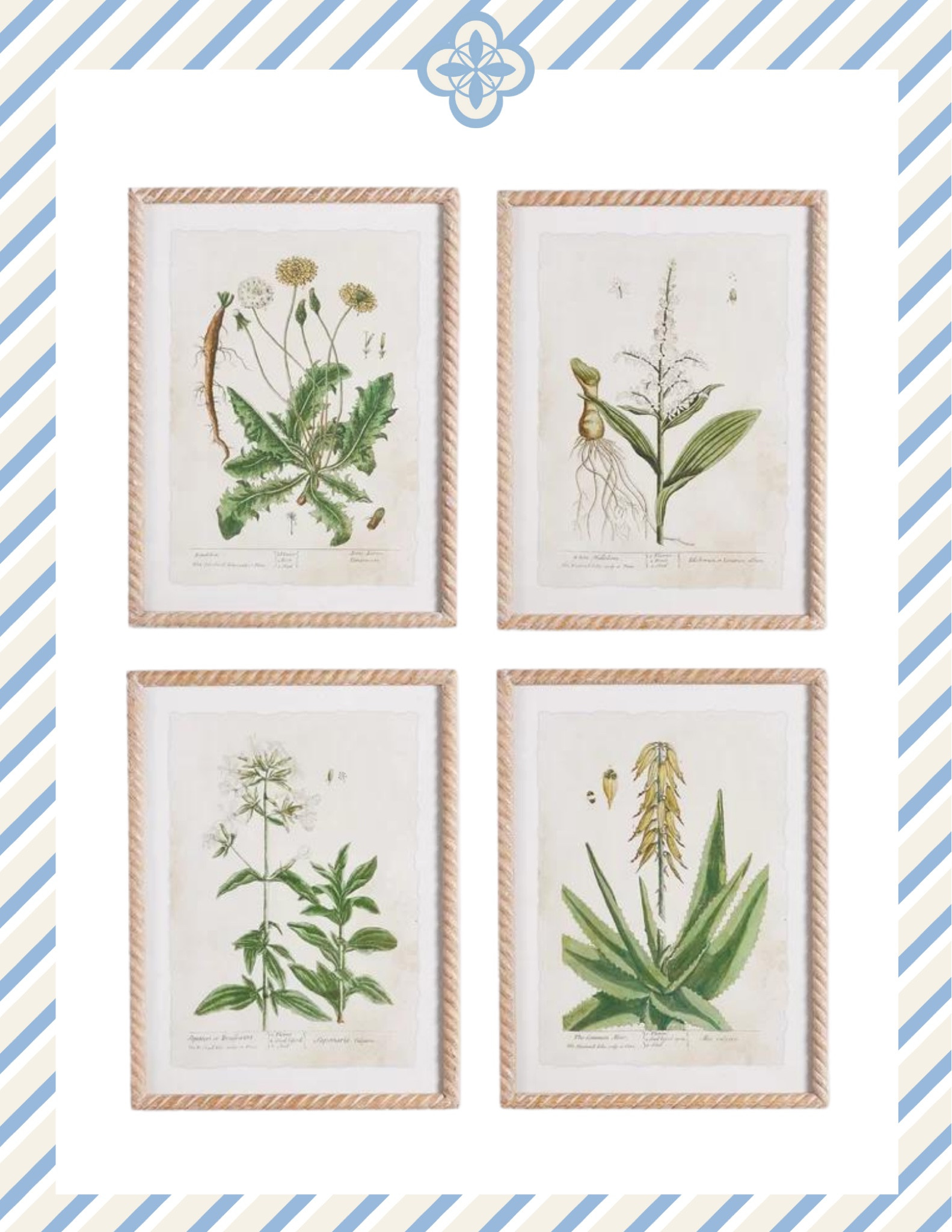 We love this set of four framed botanicals from Napa Home and Garden that are currently on sale.

#LTKSaleAlert #LTKHome