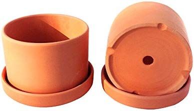 Natural Terracotta Round Fat Walled Garden Planters with Individual Trays. Set of 2 | Amazon (US)