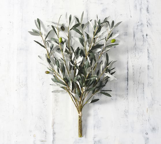 Faux Olive Bundle | Pottery Barn (US)