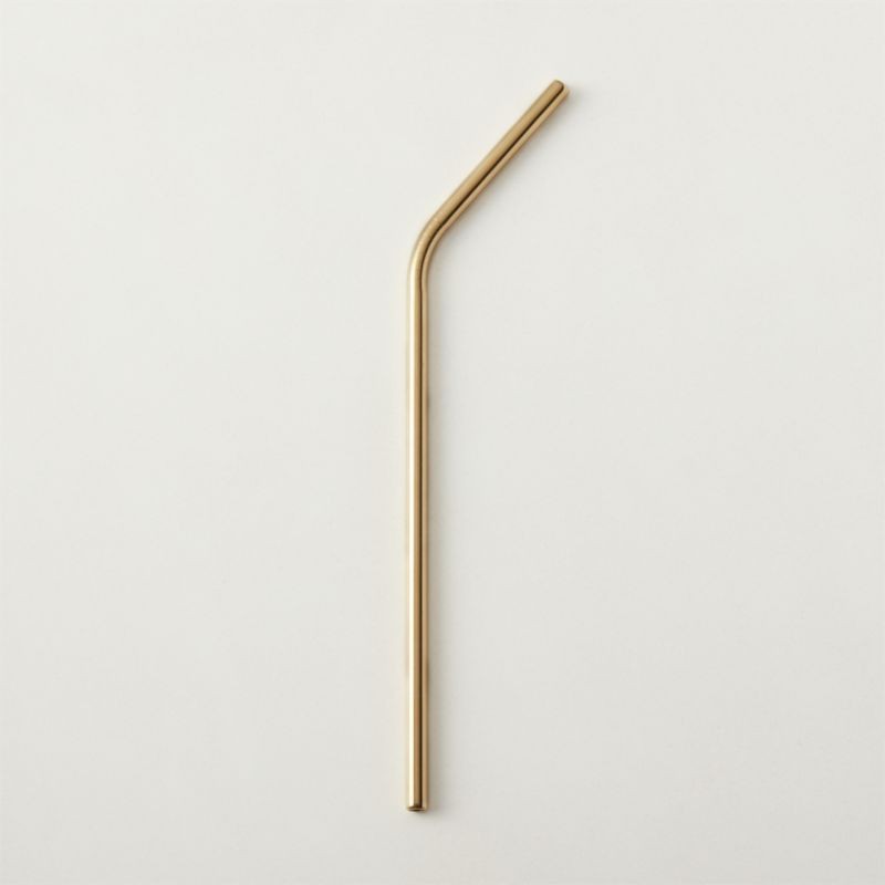 Gold Stainless Steel Straw + Reviews | CB2 | CB2