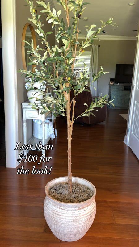 Get this look for less than $100! 🤩

This is the 6 foot faux Olive Tree from Walmart paired with this gorgeous large planter from Lowe’s! Right now the 6 ft tree is on sale for less than $40! 

✨How To✨

I added a small box for a little height and used some packaging paper from a package I had just got in the mail. I topped it with some inexpensive moss also from Walmart. I used 2 bags here. 

Of course the kitty had to get in on the action! 🐈

I think this planter looks so much better than the small basket I had it in. What do you think? 

#LTKVideo #LTKsalealert #LTKhome
