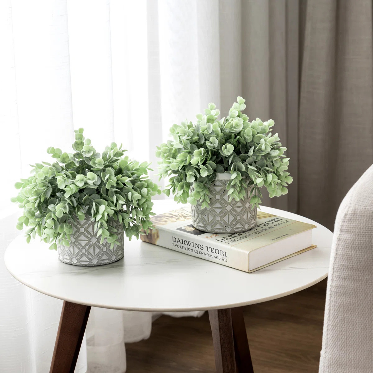 2 Piece Faux Eucalyptus Artificial Plants in Cement Pots	 (Set of 2) | Wayfair North America