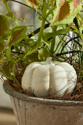 Cast Concrete Pumpkin | Anthropologie (US)