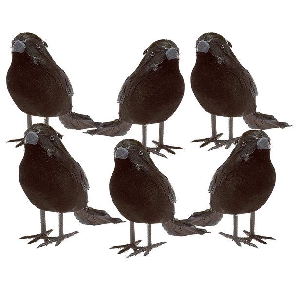 Prextex Realistic Black Feathered Crow Figures Halloween Decoration, 6 Pack - Walmart.com | Walmart (US)